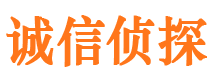 临江市私家侦探